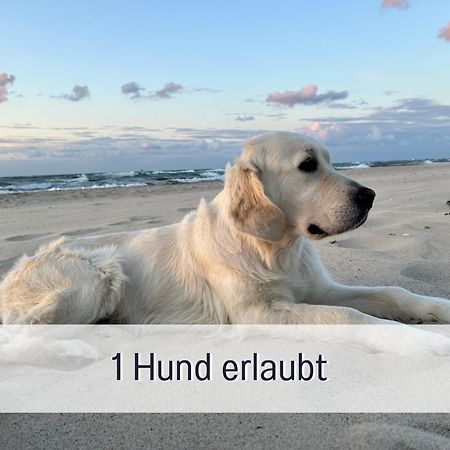 3 Zimmer App Duenengarten Fewo 58 Ostseebad Kühlungsborn المظهر الخارجي الصورة