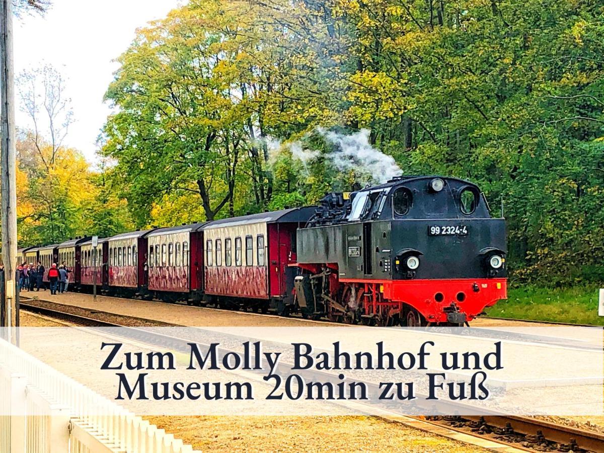 3 Zimmer App Duenengarten Fewo 58 Ostseebad Kühlungsborn المظهر الخارجي الصورة