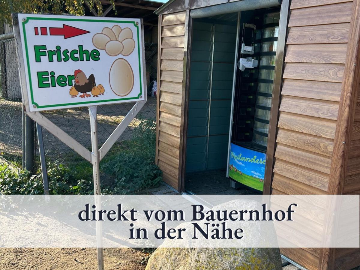 3 Zimmer App Duenengarten Fewo 58 Ostseebad Kühlungsborn المظهر الخارجي الصورة
